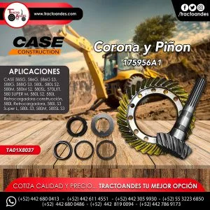 Corona y piñon - 175956A1