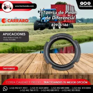 Tuerca de Piñon de Diferencial - 83936146