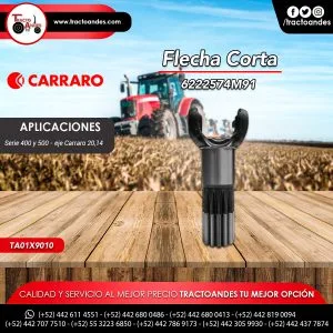 Flecha Corta - 6222574M91
