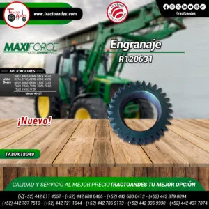 Engranaje-R120631-TA80X18049