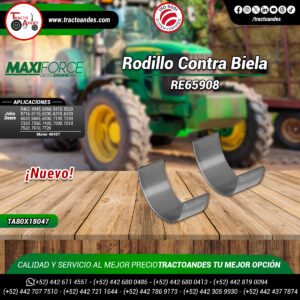 Rodillo Contrabiela - TA80X18047 - RE65908